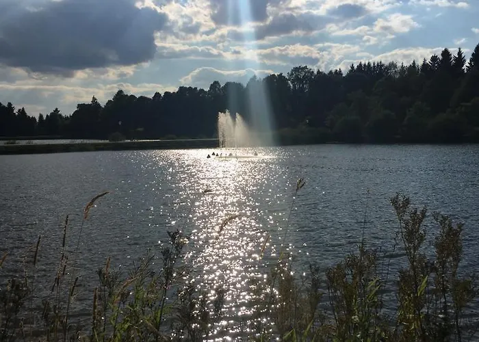 公寓 Anne 戈斯拉尔